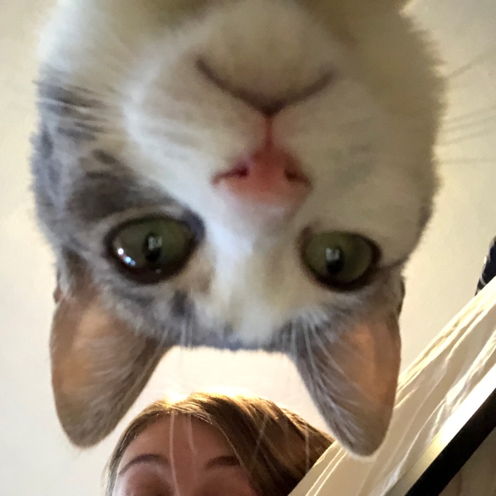 Meet your Posher, Dani